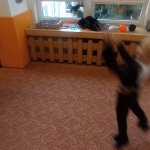 phoca_thumb_m_kostmov dopoledne 65 Fotogalerie